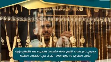 مدبولي يأمر بإعادة تقييم عاجلة لشبكات الكهرباء بعد انقطاع جزيرة الذهب المفاجئ 30 يوليو 2025 – تعرف على الخطوات المقبلة
